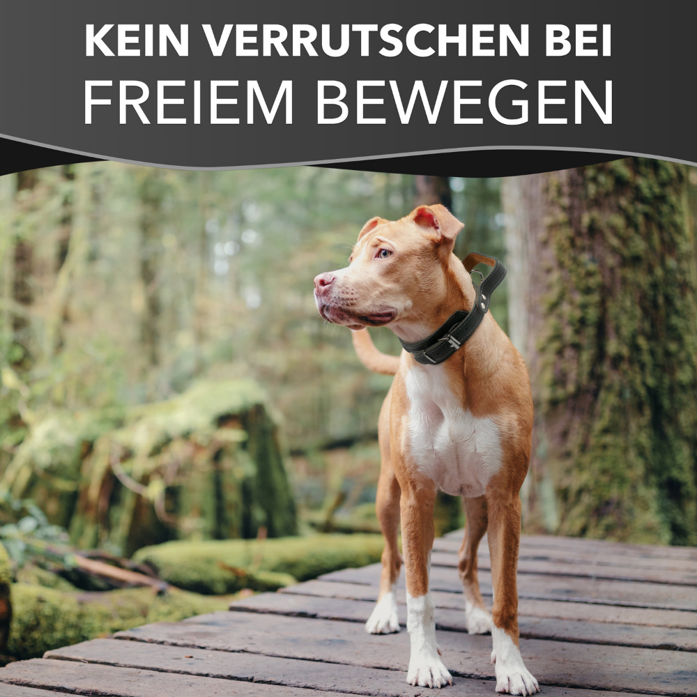 Hundehalsband mit Griff aus Leder – Bild 10