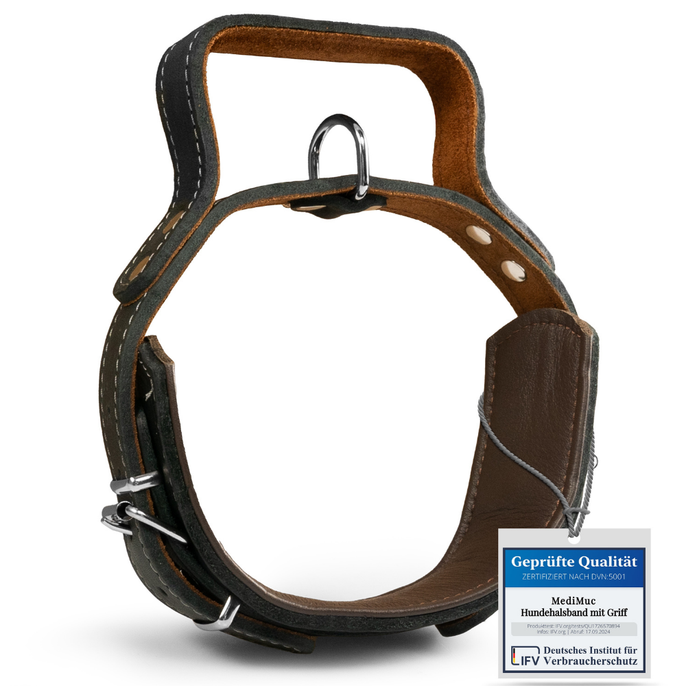 Hundehalsband mit Griff aus Leder – Bild 11