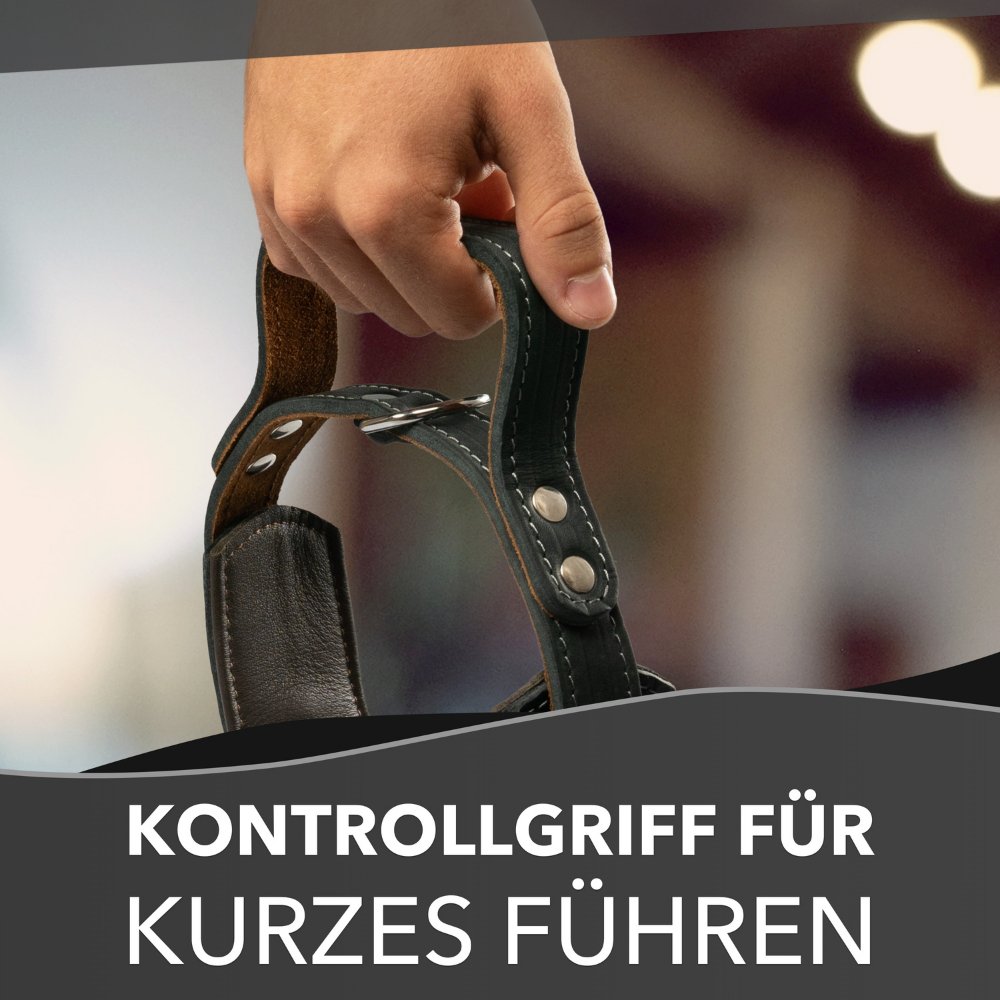 Hundehalsband mit Griff aus Leder – Bild 7