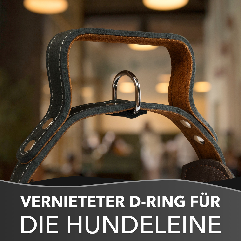 Hundehalsband mit Griff aus Leder – Bild 8